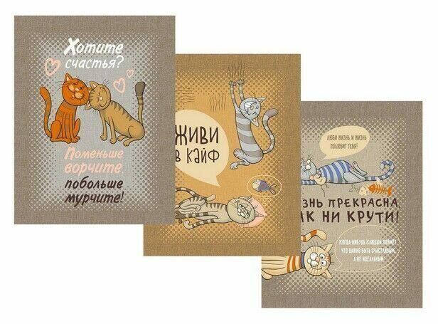 Set of towels corrugation Cats Secrets 160/m2 size 45x60 -3 pcs